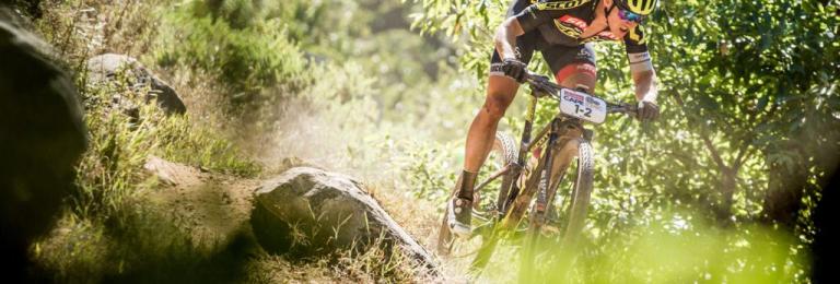 One biker crouching through some greenery