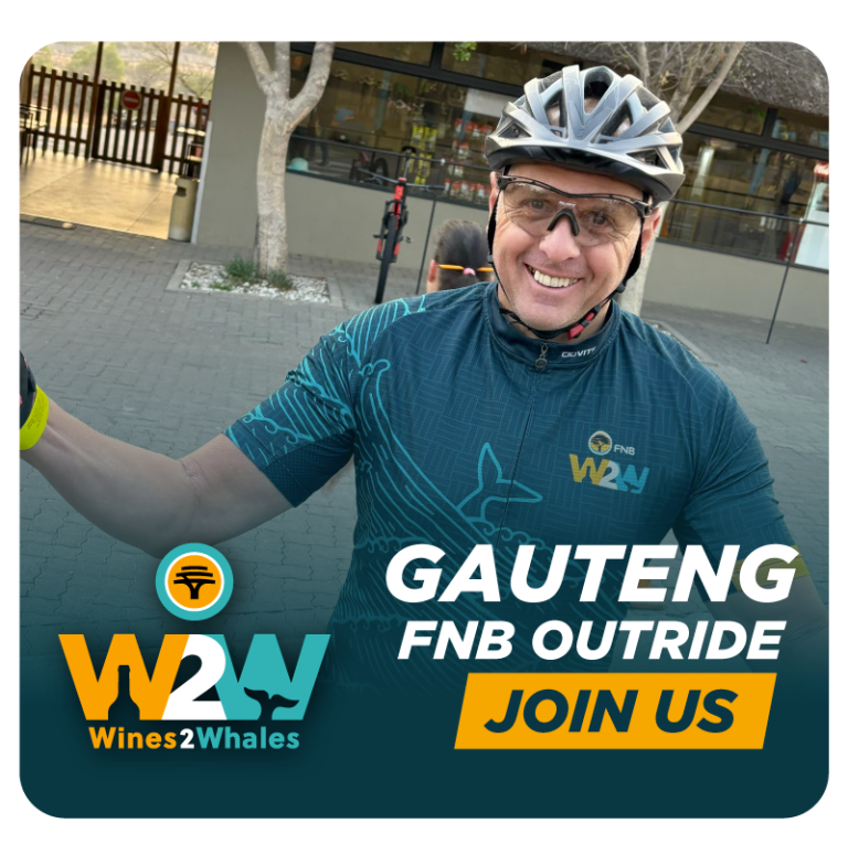 W2W25_Gauteng